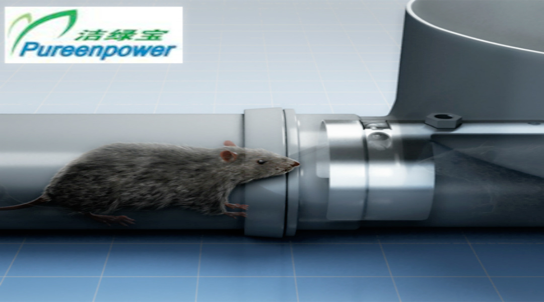 stainless steel rat stopper for home and garden