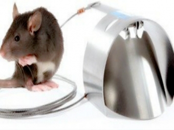 Rat Bloker Prevent Mice From Entering The Kitchen